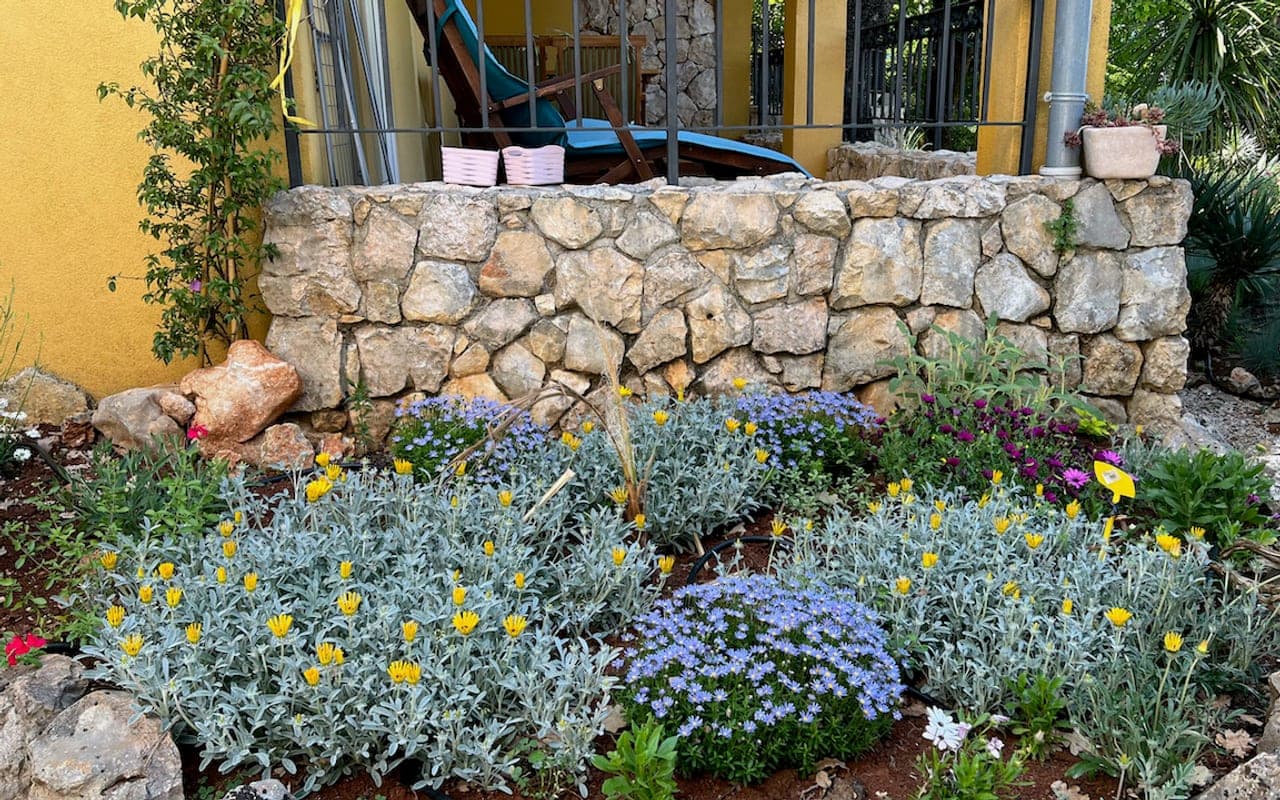 Lotus Resort garden and property detail
